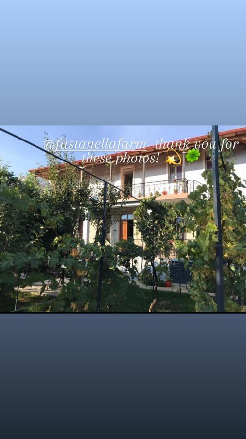 Garden Guest House Përmet Kültér fotó