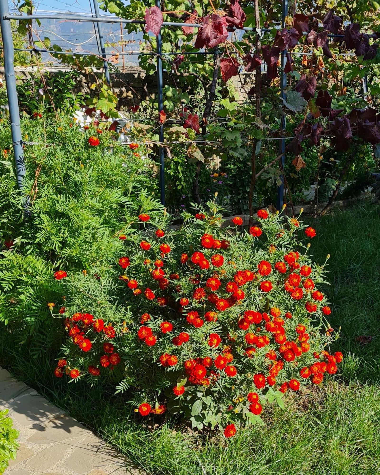 Garden Guest House Përmet Kültér fotó