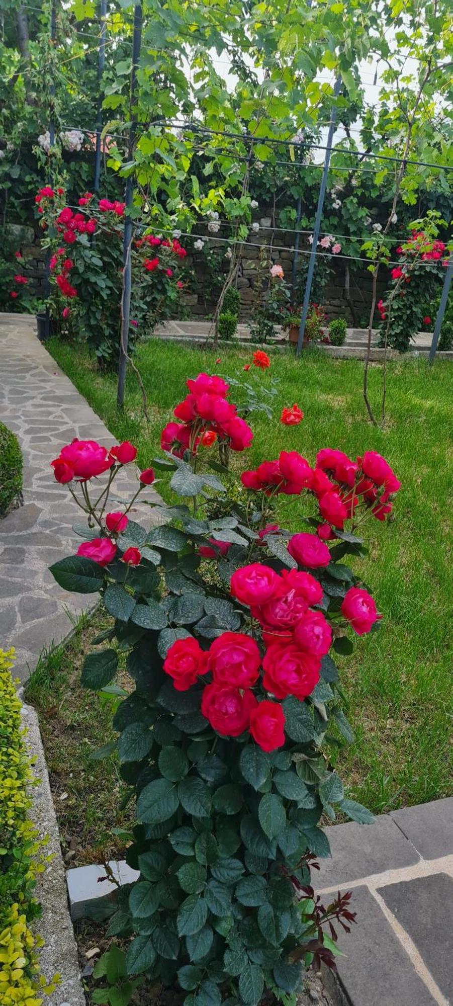 Garden Guest House Përmet Kültér fotó