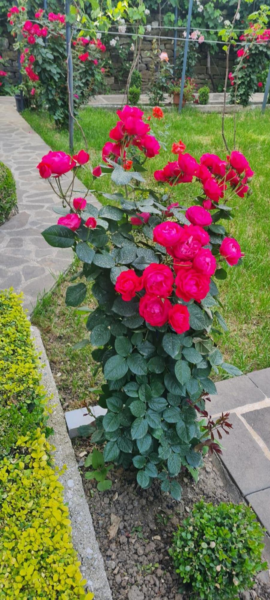 Garden Guest House Përmet Kültér fotó